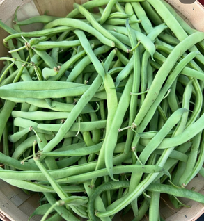 Ayșe Kadın Fasülye (Flat Green Beans)