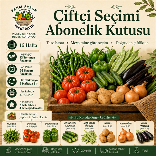 Çiftçi Seçimi Abonelik Kutusu – Taze Sebze Kutusu