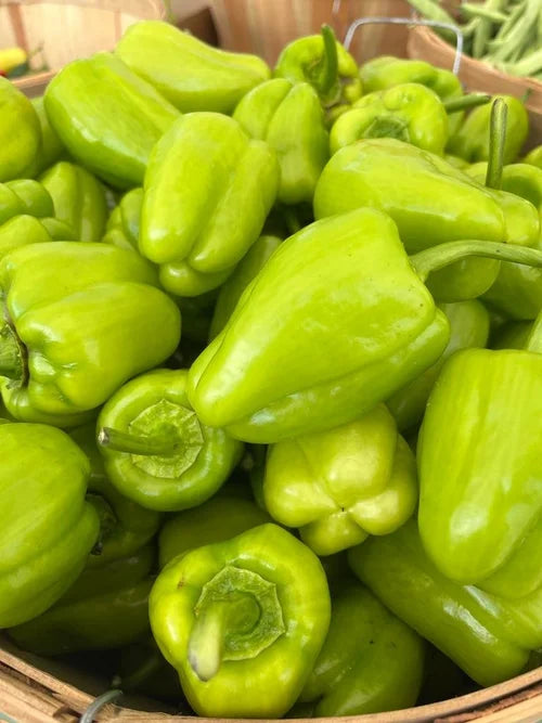 Dolma Biber (Stuffing Bell Peppers)