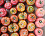 Alaturka Köy Domates (Heirloom Tomato)
