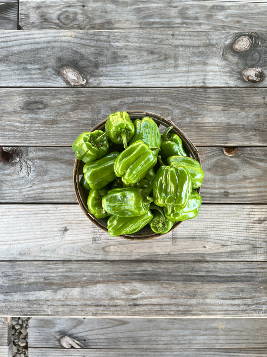 Dolma Biber (Stuffing Bell Peppers)