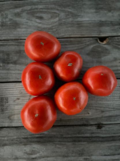 Domates fidesi (Tomato seedlings)