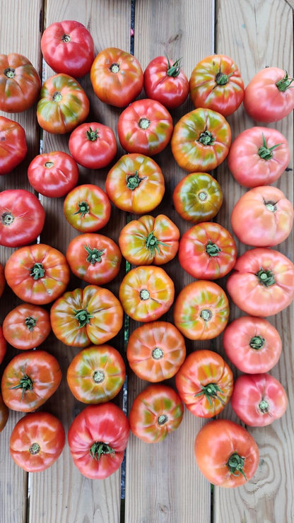 Alaturka Köy Domates (Heirloom Tomato)