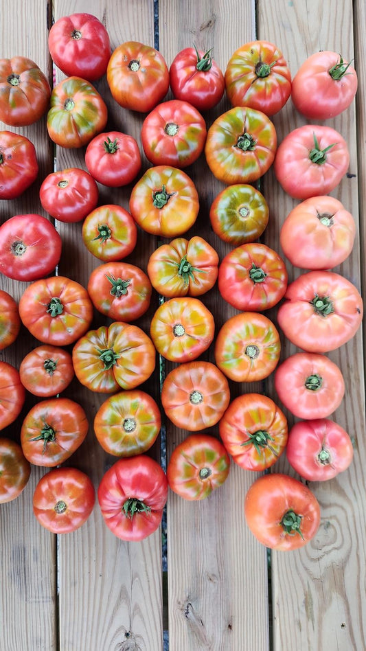 Alaturka Köy Domates (Heirloom Tomato)