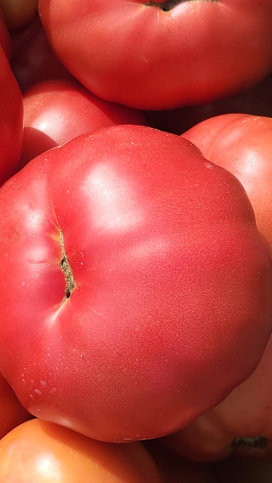 Biftek Domates (Beef Tomato)
