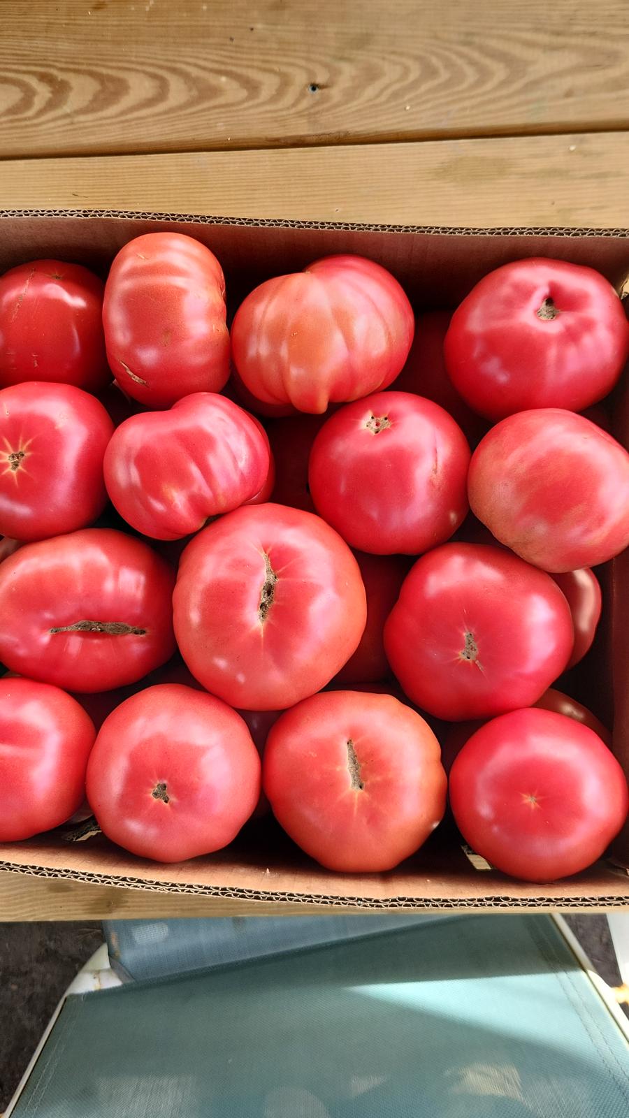 Biftek Domates (Beef Tomato)