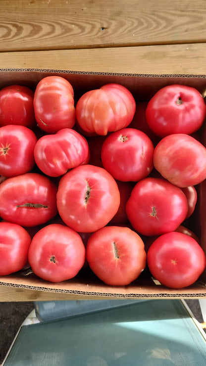 Biftek Domates (Beef Tomato)