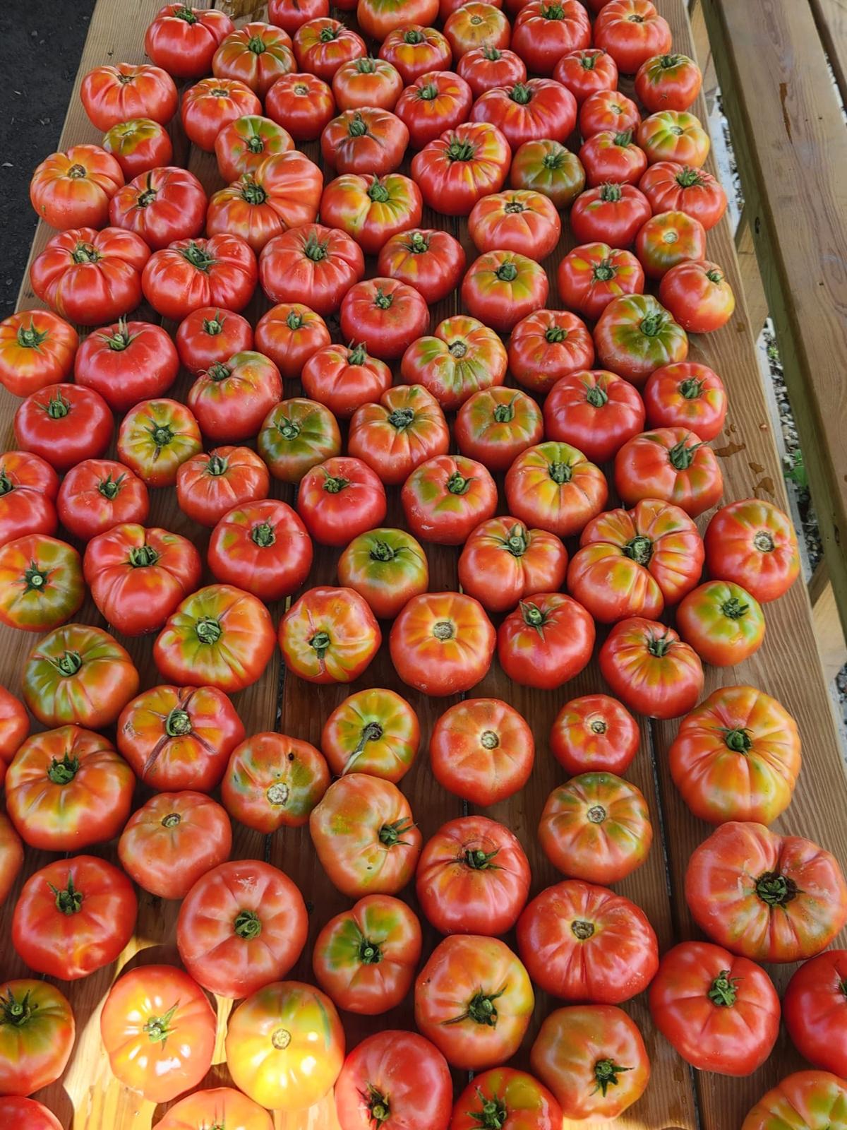 Alaturka Köy Domates (Heirloom Tomato)