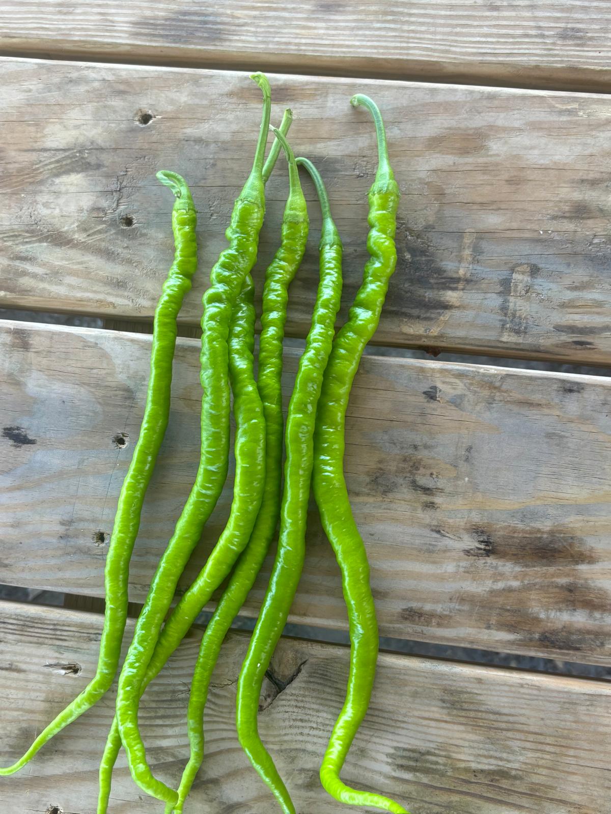 Acı Kıl Biber (Hot Pencil Pepper)